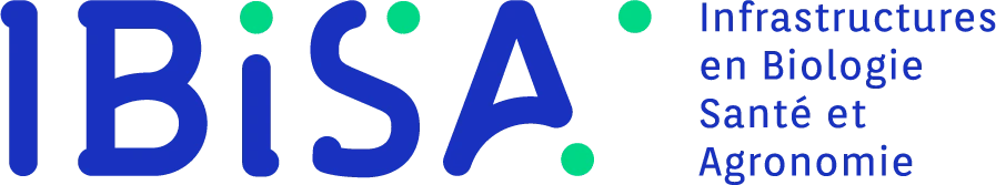 IBISA